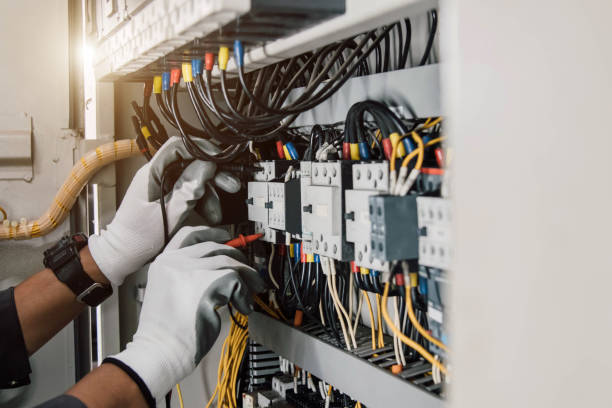 Best Electric Panel Repair  in Somerville, TX